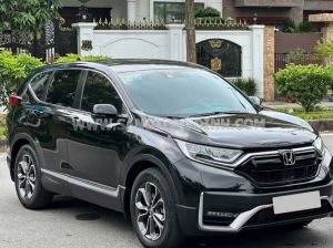 Xe Honda CRV L 2022